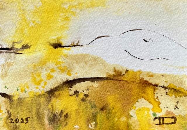 Dunes
